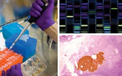 Translational oncology – the bridge between basic research and clinical practice