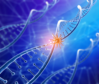 Oral Cavity Cancer / Genetic Factors / Inherited Risk